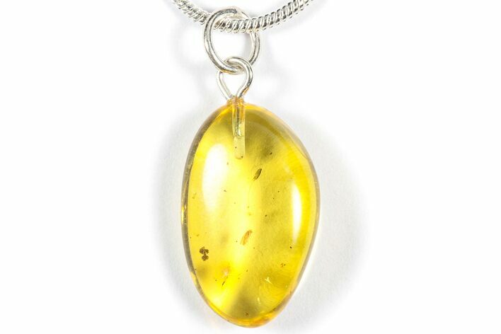 Polished Baltic Amber Pendant (Necklace) - Contains Fly! #358004